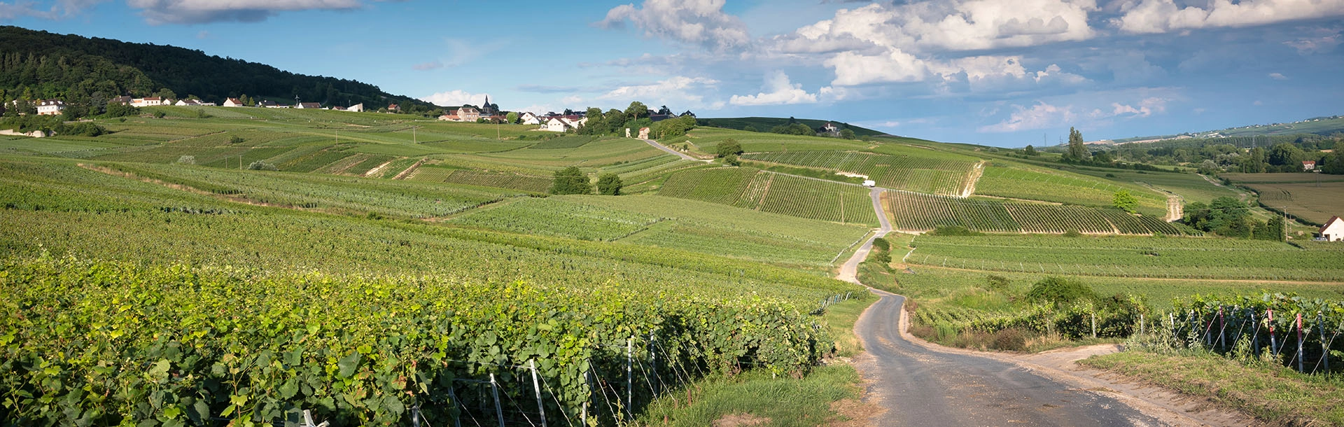 Summer Ride - Triumph Paris Est