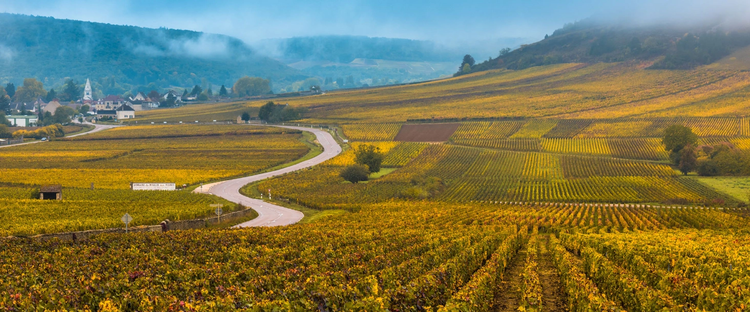 GIRL'S RIDE - MC LEGACY